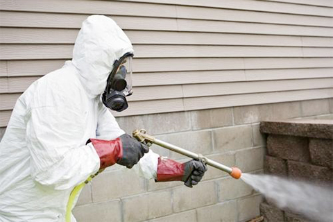 fumigationcleaning