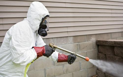 window cleaning
